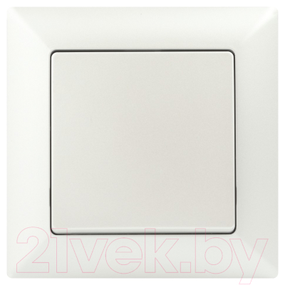 Выключатель INTRO Solo 4-101-06 / Б0053551 - фото