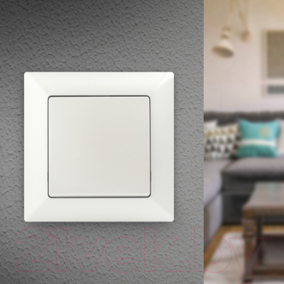 Выключатель INTRO Solo 4-101-06 / Б0053551