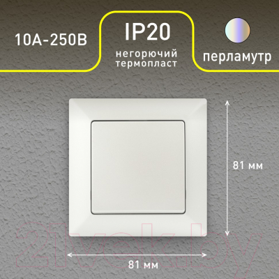 Выключатель INTRO Solo 4-101-06 / Б0053551