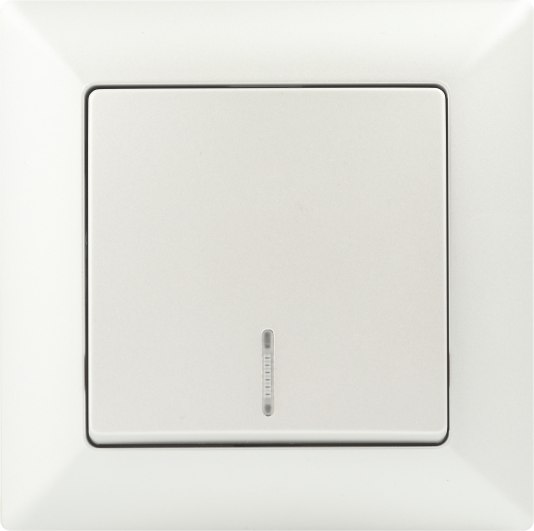 Выключатель INTRO Solo 4-102-06 / Б0053568 - фото