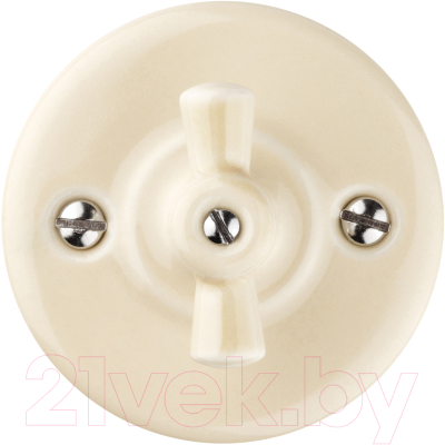 Выключатель TDM Болонь SQ1820-0314