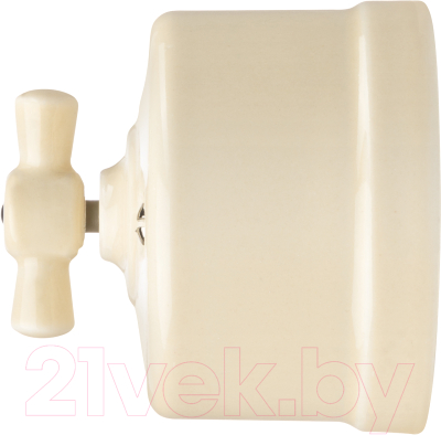 Выключатель TDM Болонь SQ1820-0314