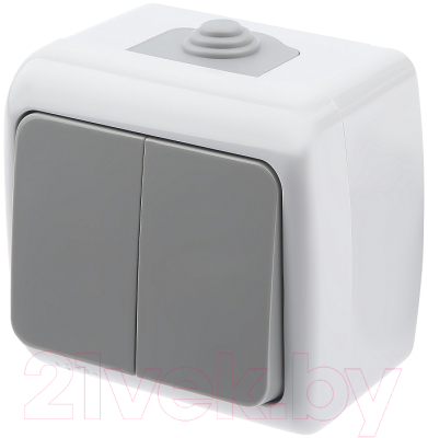 Выключатель ЭРА Atlantic 5-104-03 / Б0050943 - фото