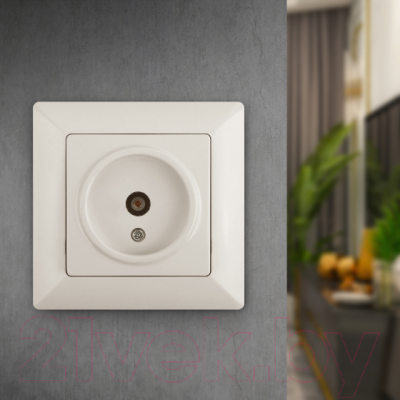 Розетка INTRO Solo 4-301-02 / Б0043369