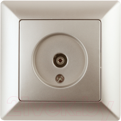 Розетка INTRO Solo 4-301-04 / Б0043371 - фото