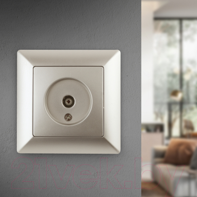 Розетка INTRO Solo 4-301-04 / Б0043371