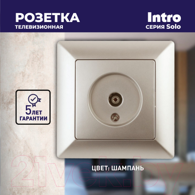 Розетка INTRO Solo 4-301-04 / Б0043371