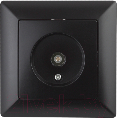 Розетка INTRO Solo 4-301-05 / Б0043372 - фото