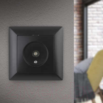 Розетка INTRO Solo 4-301-05 / Б0043372