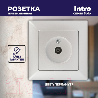 Розетка INTRO Solo 4-301-06 / Б0053992