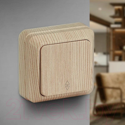 Выключатель INTRO Quadro 2-103-11 / Б0053755