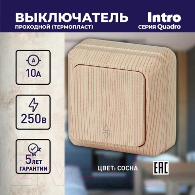 Выключатель INTRO Quadro 2-103-11 / Б0053755