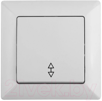 Выключатель INTRO Solo 4-103-01 / Б0053575 - фото