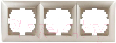 Рамка для выключателей и розеток INTRO Solo 4-503-04 / Б0043420 - фото
