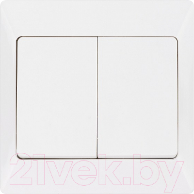 Выключатель TDM Ильмень / SQ1823-0002 - фото