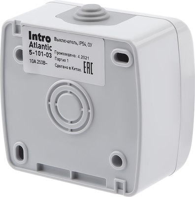 Выключатель INTRO Atlantic 5-101-03 / Б0050940