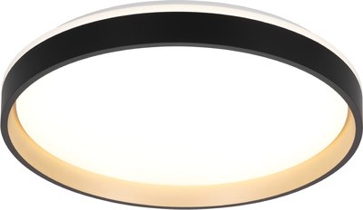 Потолочный светильник Citilux CL753451G - фото