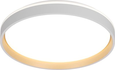 Потолочный светильник Citilux CL753450G - фото