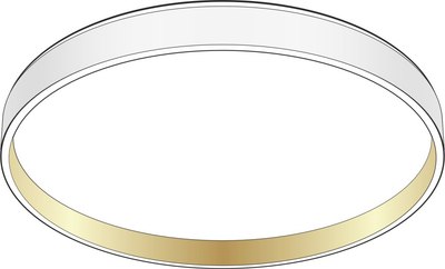 Потолочный светильник Citilux CL753450G