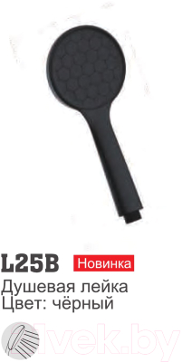 Лейка ручного душа Ledeme L25B
