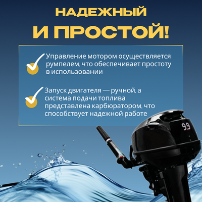 Мотор лодочный BarrakuDA HD9.9FHS