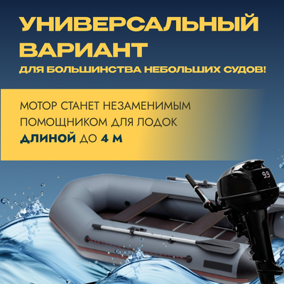 Мотор лодочный BarrakuDA HD9.9FHS