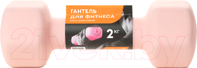 Гантель Maxiscoo Fit 2кг / MSF-LU-220723-2-PN - фото