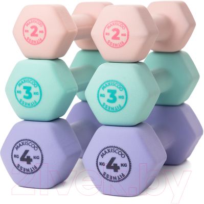 Гантель Maxiscoo Fit 2кг / MSF-LU-220723-2-PN