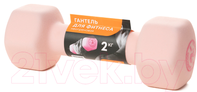 Гантель Maxiscoo Fit 2кг / MSF-LU-220723-2-PN