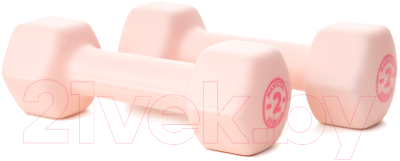 Гантель Maxiscoo Fit 2кг / MSF-LU-220723-2-PN