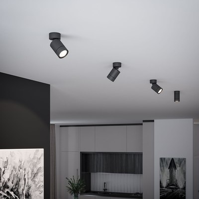 Точечный светильник Elektrostandard Niro 25013/01