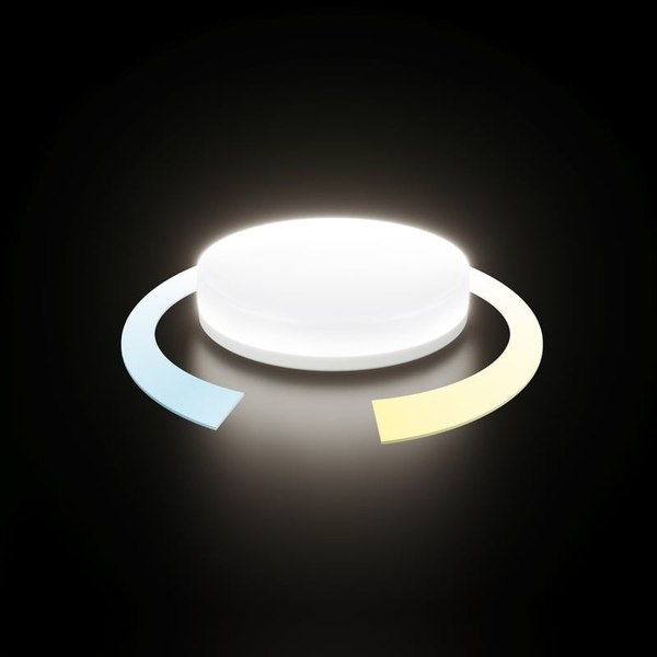 Умная лампа Elektrostandard BLGX5316