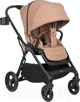 Детская прогулочная коляска Aimile Aster / AS-001 - фото