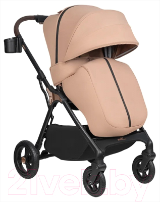 Детская прогулочная коляска Aimile Aster / AS-001