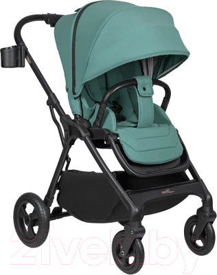 Детская прогулочная коляска Aimile Aster / AS-002 - фото