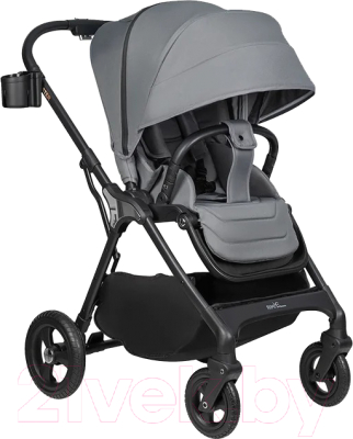 Детская прогулочная коляска Aimile Aster / AS-003 - фото