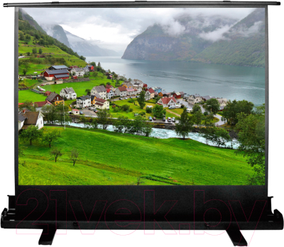 Проекционный экран Cactus FloorExpert CS-PSFLE-180X102