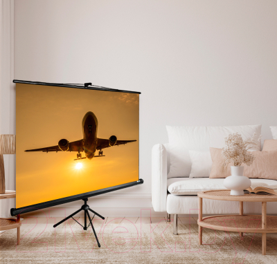 Проекционный экран Cactus Triscreen CS-PST-124x221