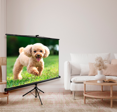 Проекционный экран Cactus TriExpert CS-PSTE-180x135-BK