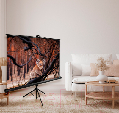 Проекционный экран Cactus TriExpert CS-PSTE-160x160-BK