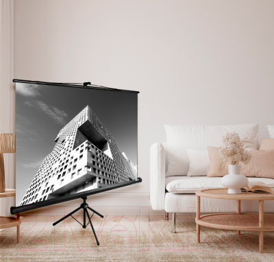 Проекционный экран Cactus TriExpert CS-PSTE-180x180-BK