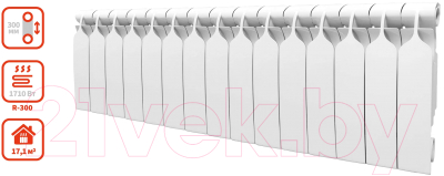 Радиатор биметаллический BiLux Plus R300