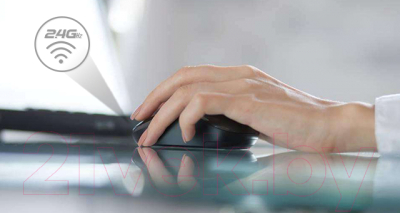 Мышь A4Tech G3-300NS 