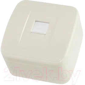 Розетка TDM Дача SQ1824-0024 - фото