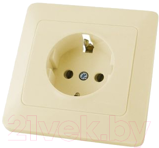 Розетка TDM Ильмень SQ1823-0110 - фото