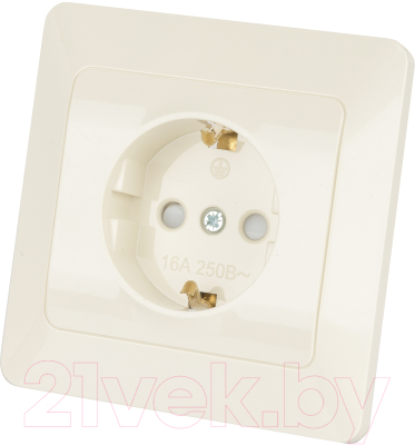 Розетка TDM Ильмень SQ1823-0114 - фото