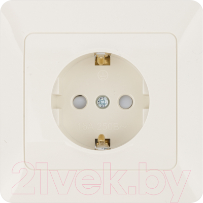 Розетка TDM Ильмень SQ1823-0114