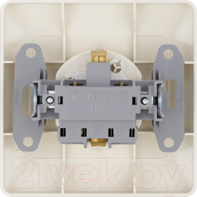 Розетка TDM Ильмень SQ1823-0114