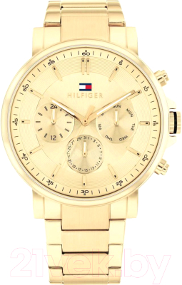 Часы наручные мужские Tommy Hilfiger 1710611 - фото