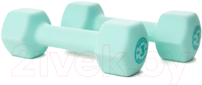 Гантель Maxiscoo Fit 3кг / MSF-LU-220723-3-MN
